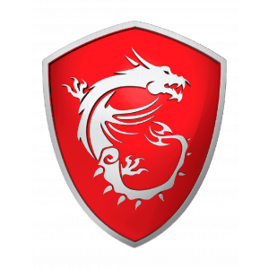 MSI device photo