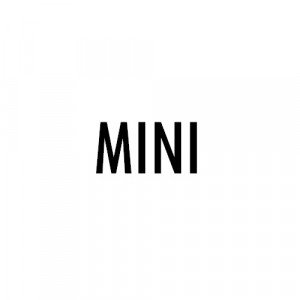 DJI Mini device photo