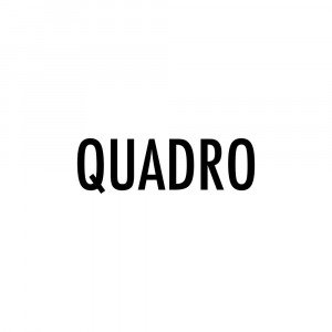 Quadro device photo