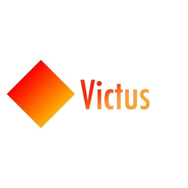 HP Victus photo