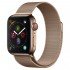 Apple Watch (Series 4) device photo