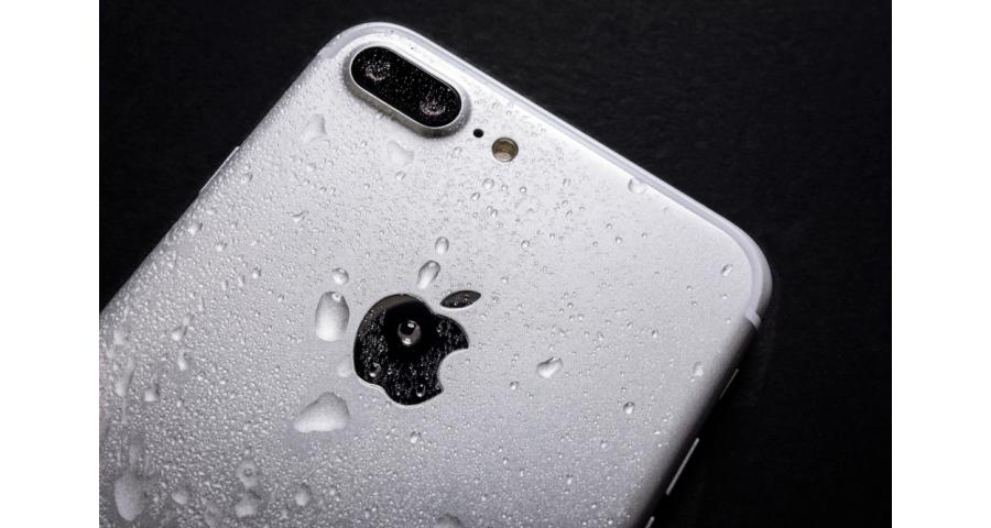 Can You Really Dry Out Water Damage? (Rice and Other Methods)